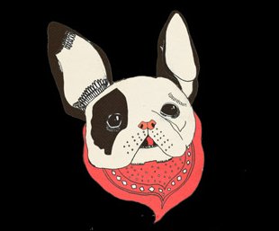 Fotografía promocional de Sergio V. Leiva