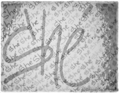 Fotografía promocional de She & Elena