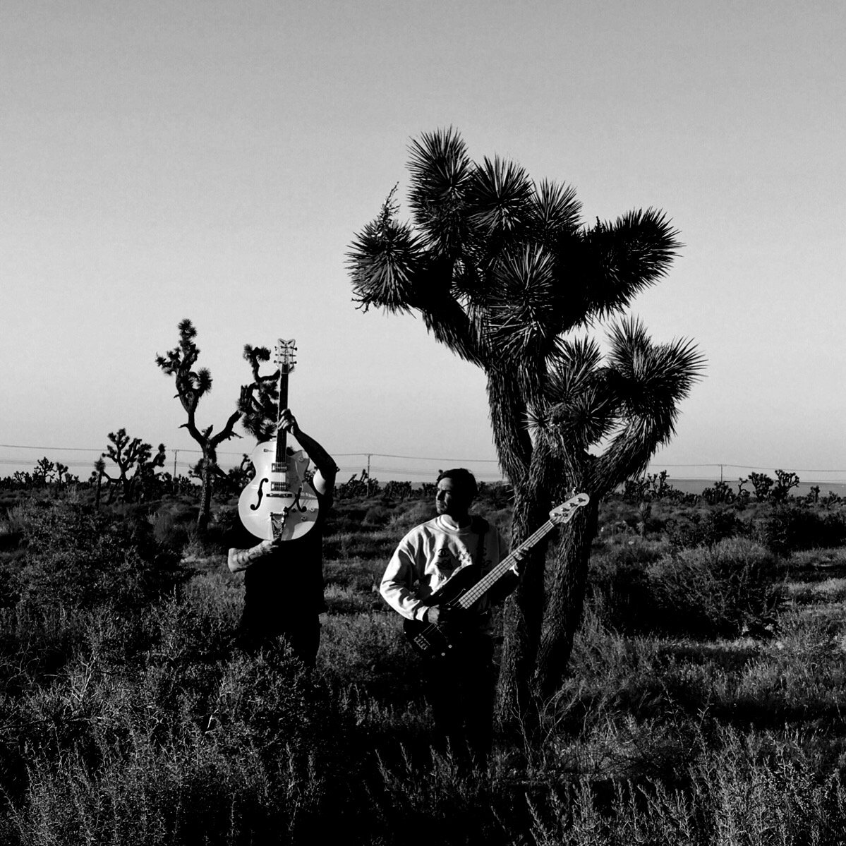 Fotografía promocional de Soft Kill