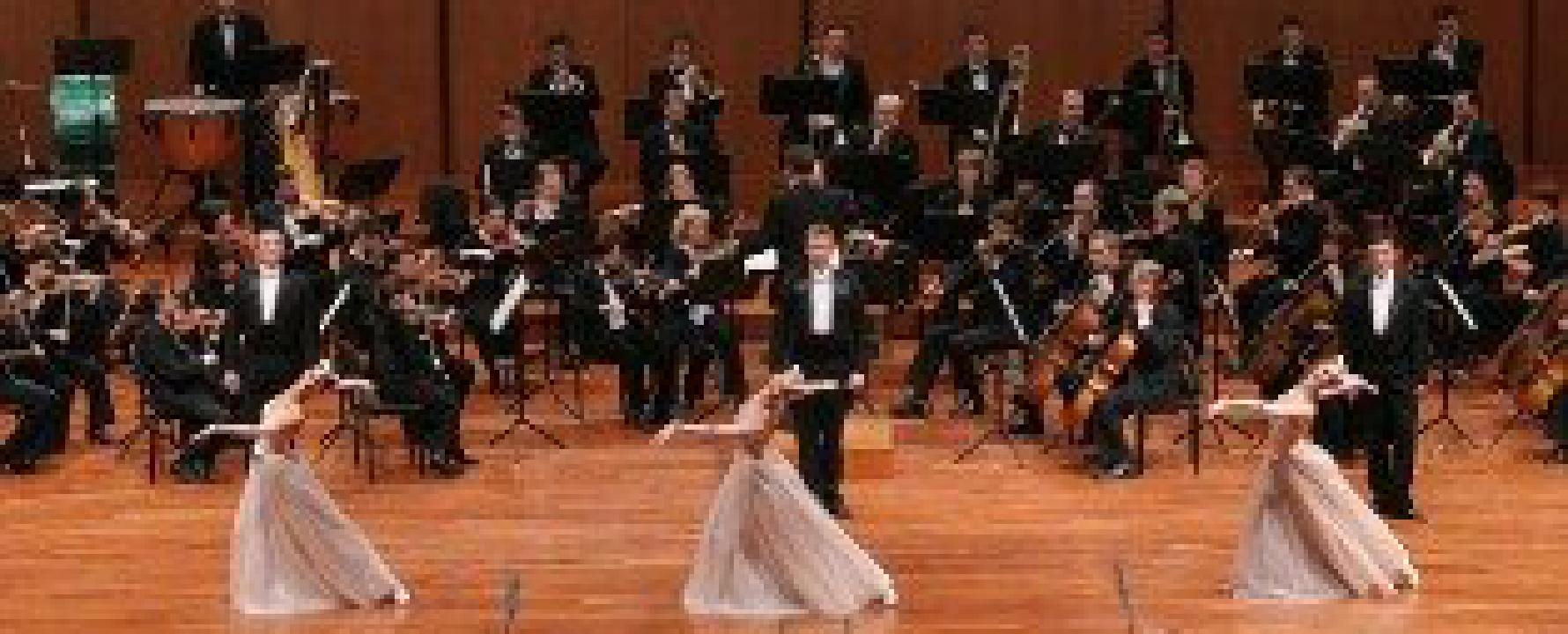 Strauss Festival Orchestra Entradas Conciertos y Giras 20242025 Wegow