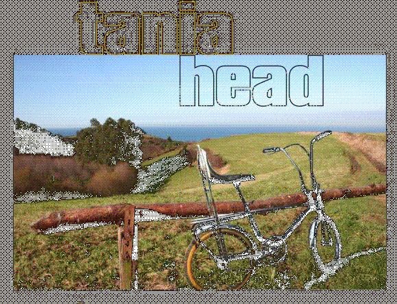 Fotografía promocional de Tania head