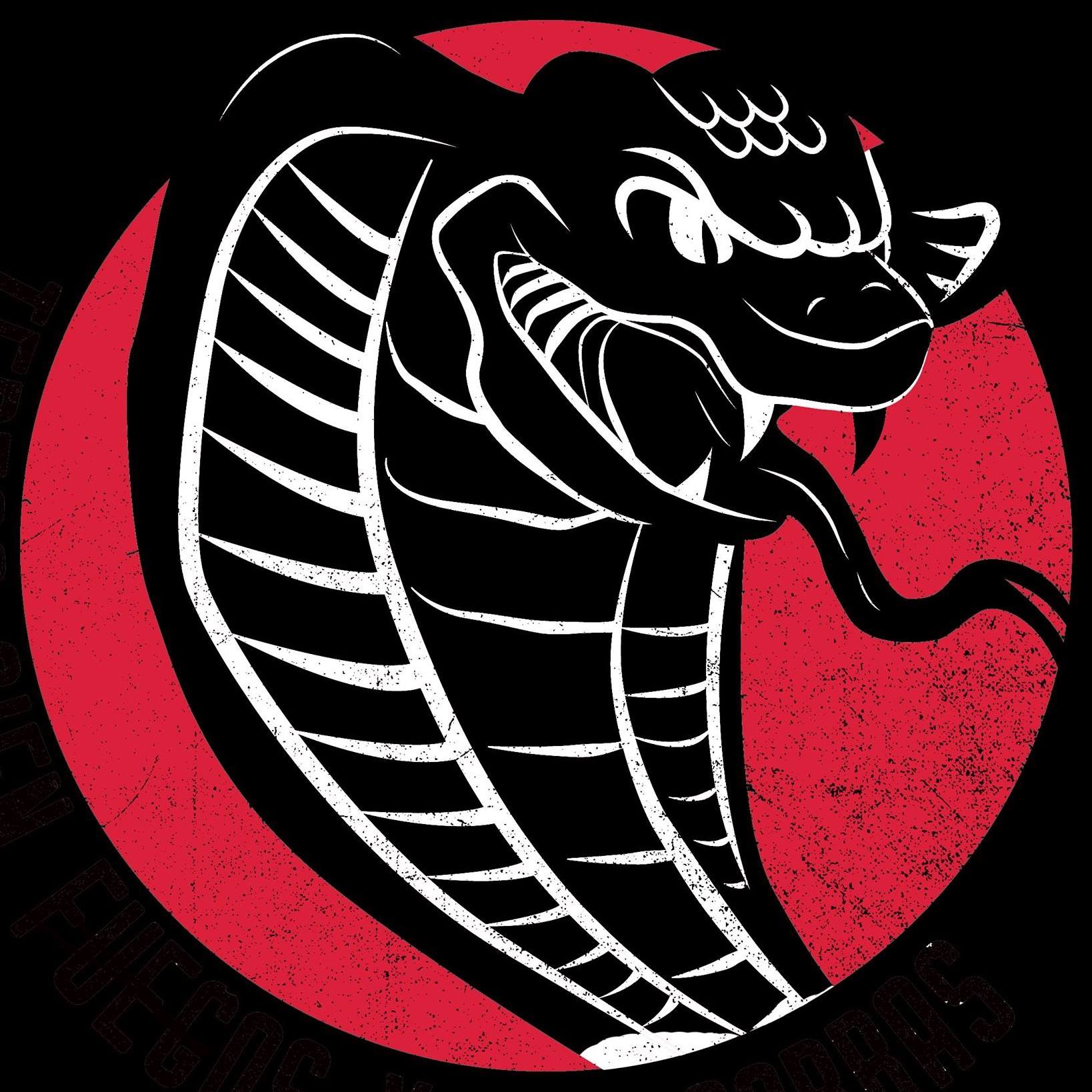 Fotografía promocional de Teresa Cienfuegos y las Cobras