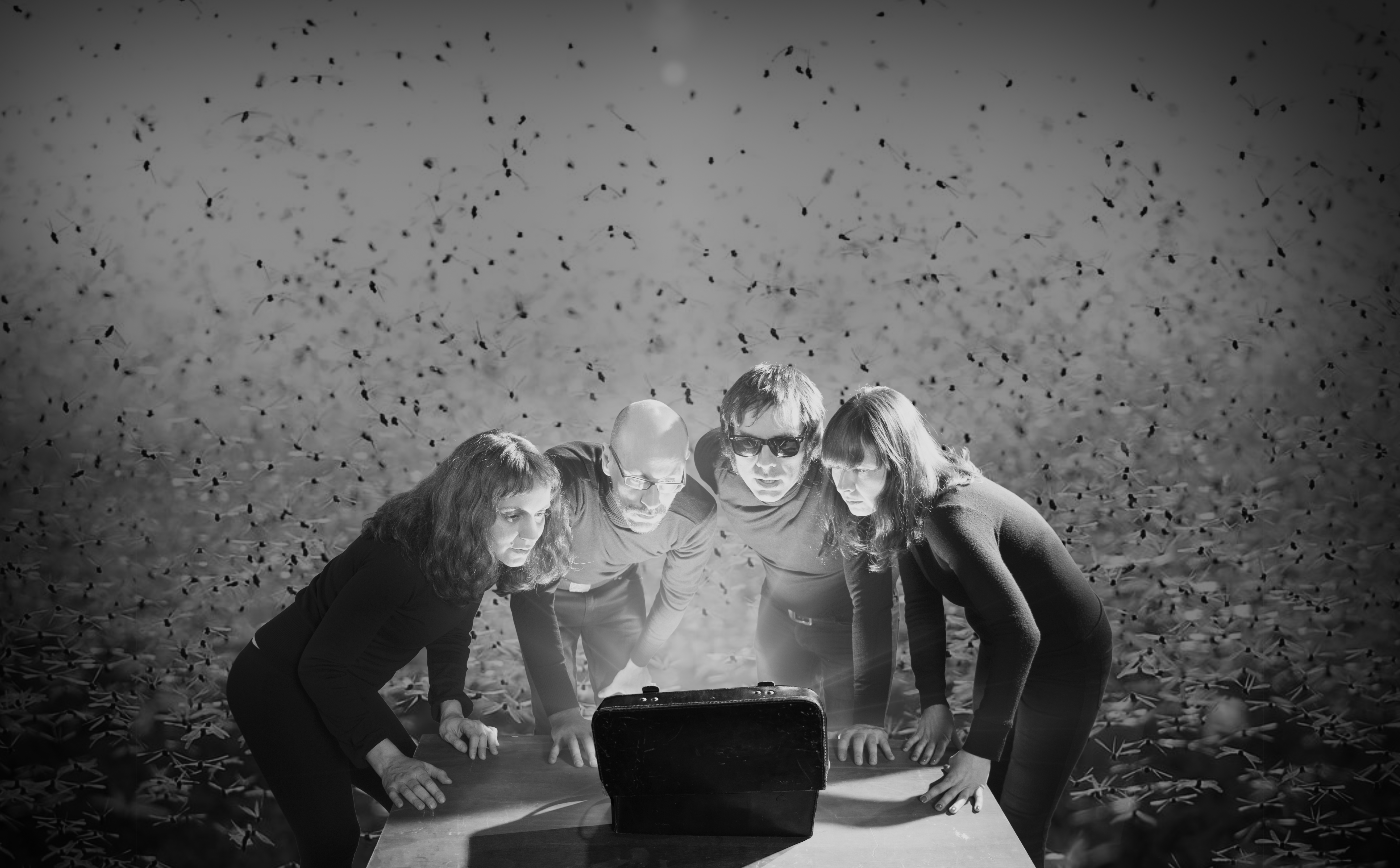 Fotografía promocional de Terrier