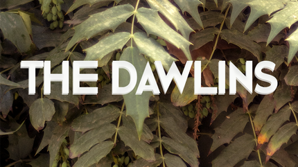 The Dawlins