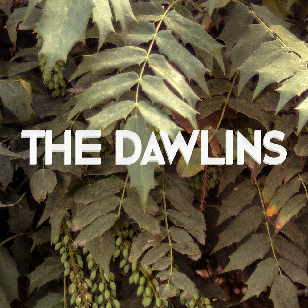 Fotografía promocional de The Dawlins