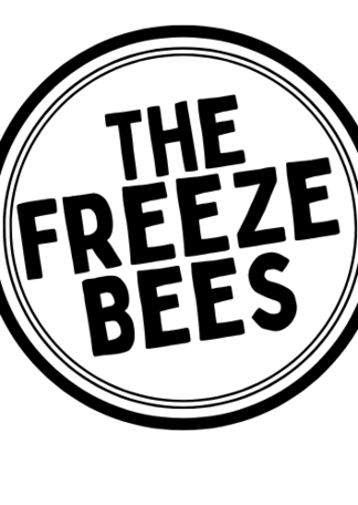 Fotografia promocional de The Freeze Bees.