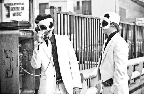 Promofoto von The White Panda.