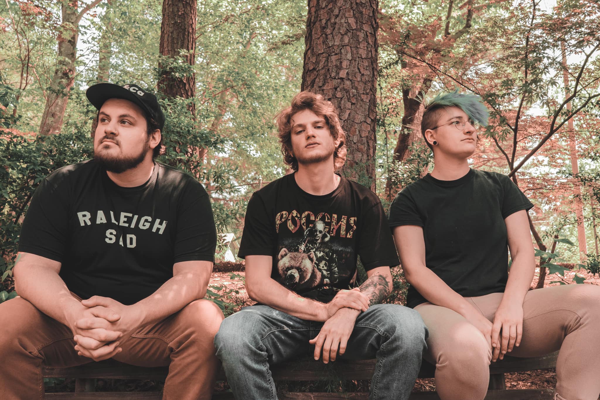 Fotografía promocional de Through The Tallwoods