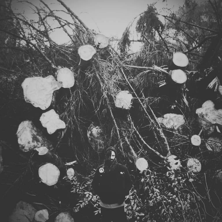 Fotografía promocional de Concierto de Sylvaine + Ulmus en Olot