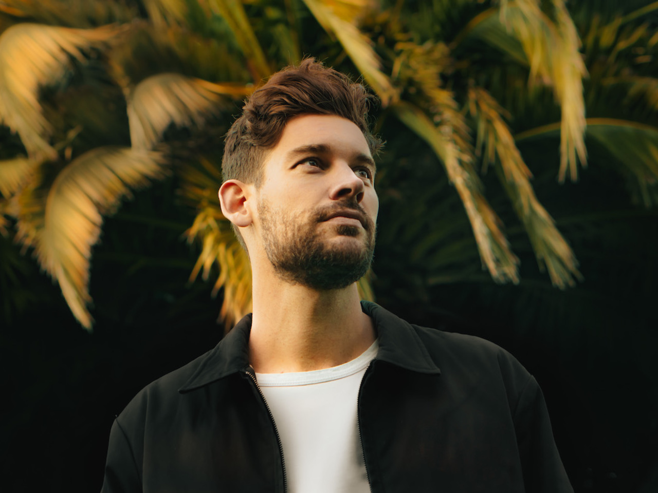 Fotografía promocional de Vandelux