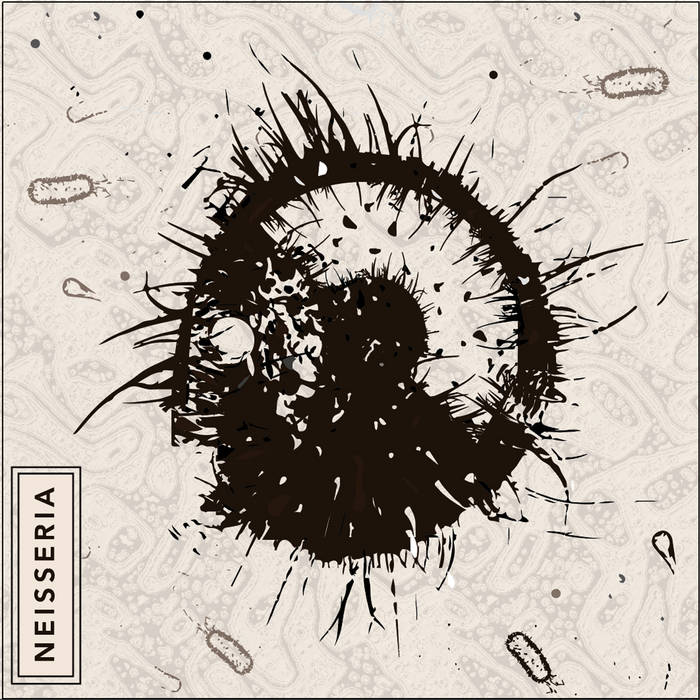 Fotografía promocional de Wandem Hornz Section