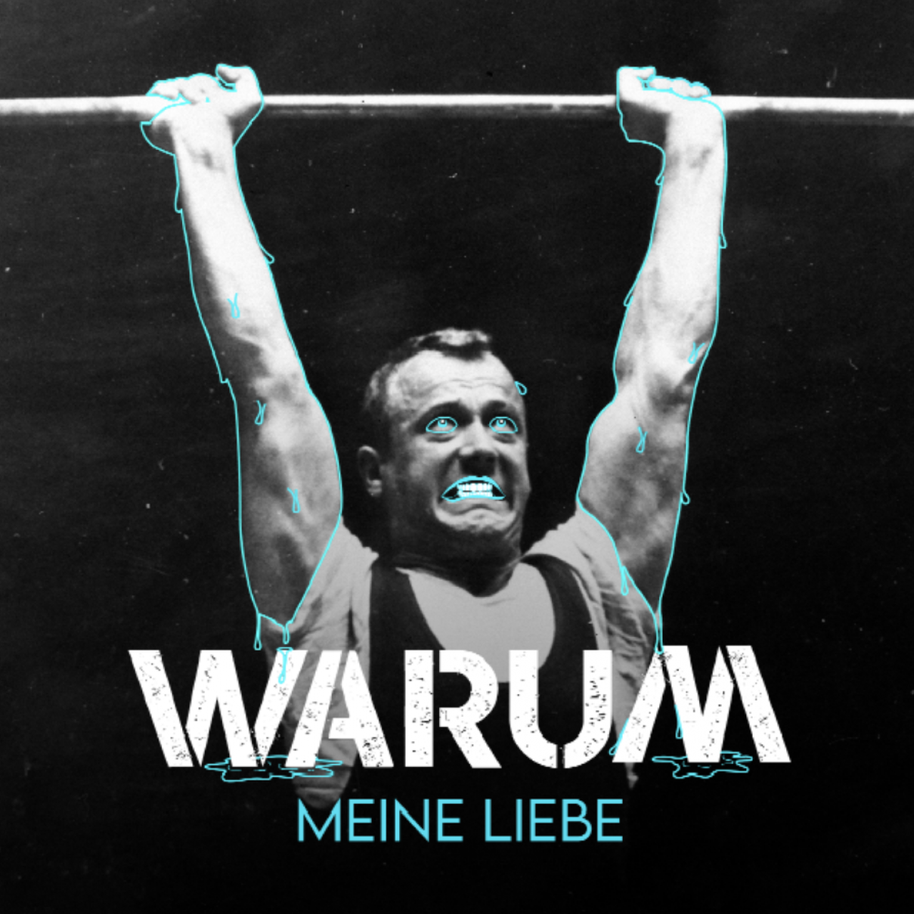 Fotografía promocional de Concierto de Warum Meine Liebe en Nancy