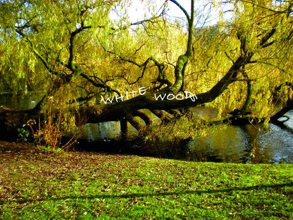 Fotografía promocional de White Woods