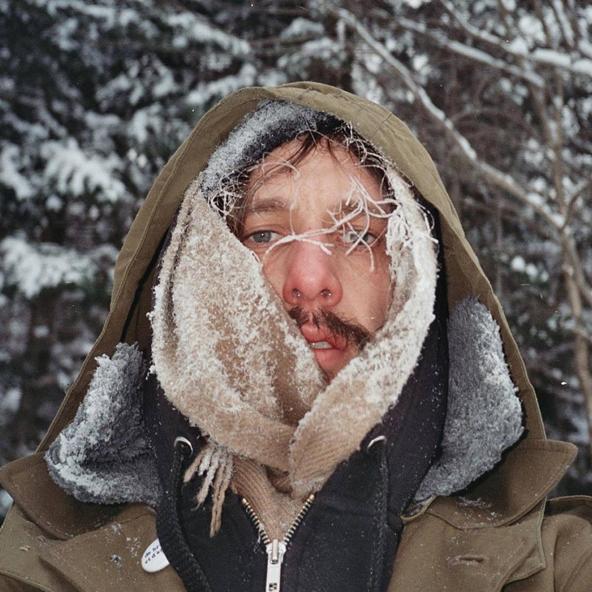 Promotional photograph of Wild Raccoon.