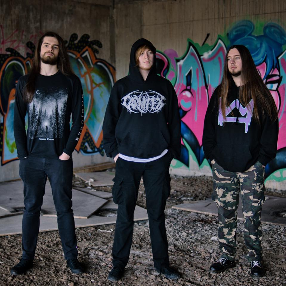 Fotografia promocional de WispMother.