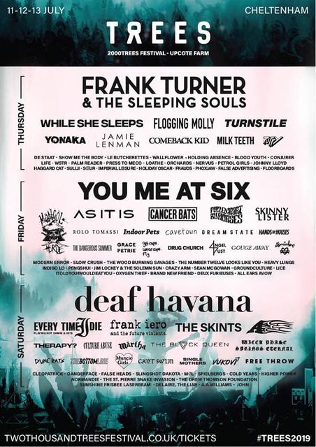 2000Trees Festival picture