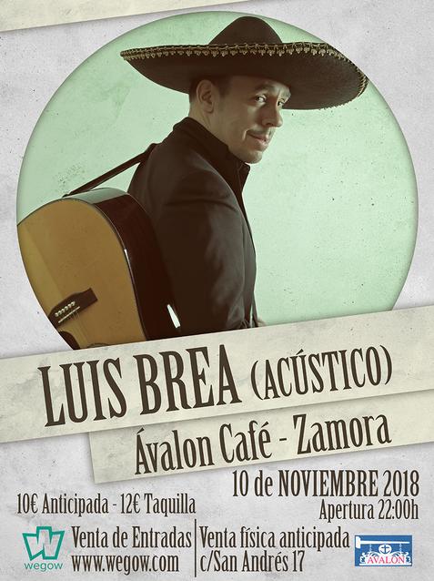 Luis Brea en Zamora