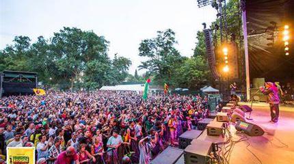 Bagnols Reggae Festival picture