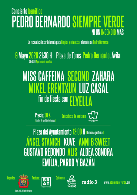 Cartel Concierto Pedro Bernardo