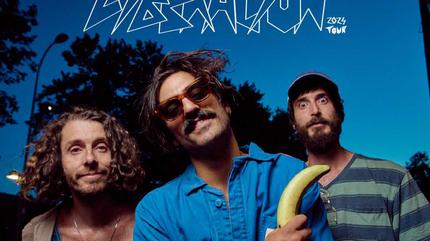 Sexy Zebras en Valladolid