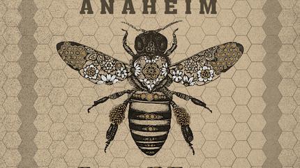 INLOGIC - 20 Aniversario