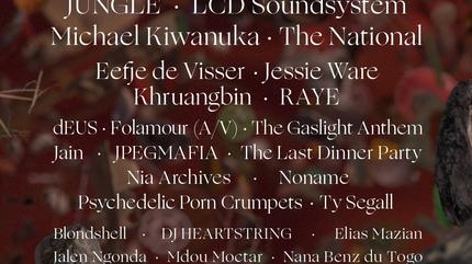 down the rabbit hole 2024 festival tickets