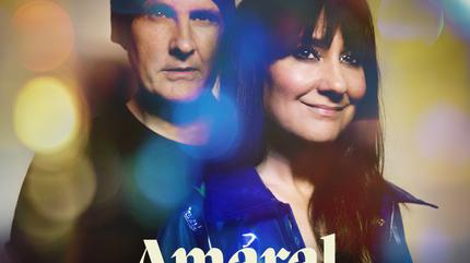 el bosque sonoro 2024 entradas, artistas, horarios