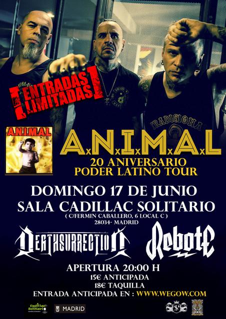 ANIMAL MADRID WEGOW