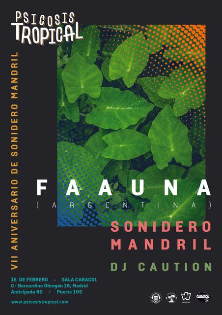 Concierto de Faauna en Madrid