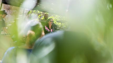 Festival Amante 2018