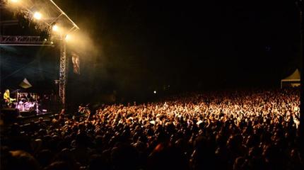 Cognac Blues Passions Picture