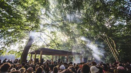 Houghton Festival Picture