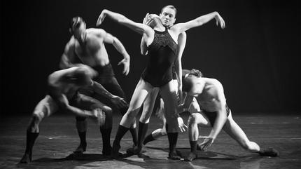 Montpelllier Danse 2019