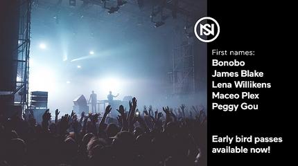 Nuits Sonores Picture