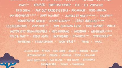 Paradise City Festival Picture