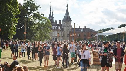 Paradise City Festival Picture