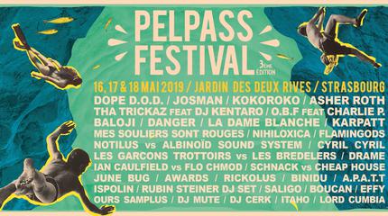 Pelpass Festival Picture