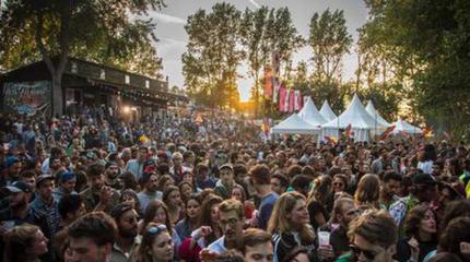 Pete the Monkey Picture