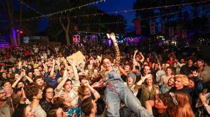 Pete the Monkey Picture