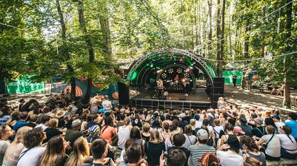 Waldbühne auf dem PULS Open Air Festival