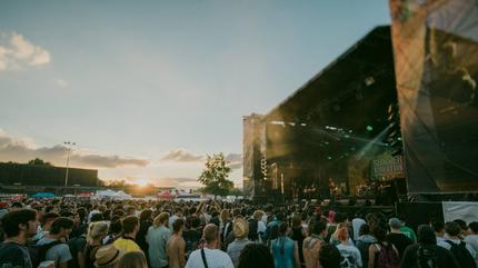 Summer Vibration Festival Picture