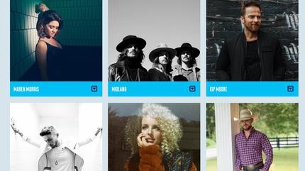 Watershed Festival Picture