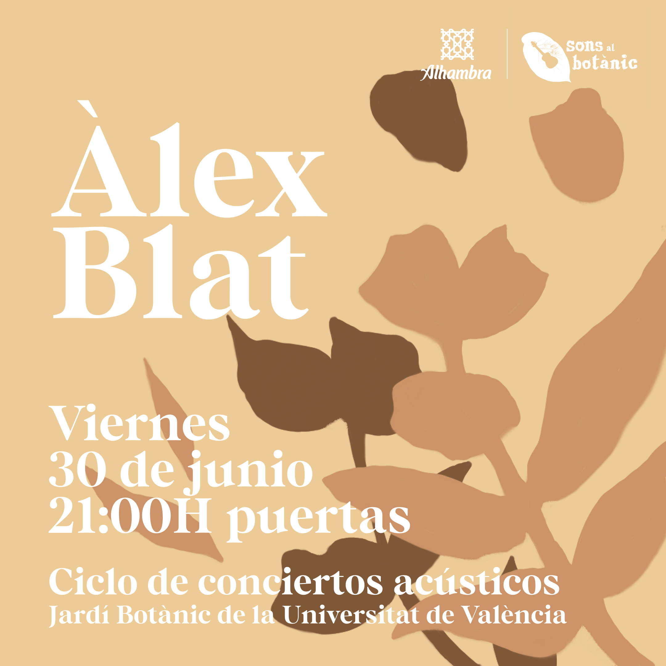 Fotografía promocional de Àlex Blat en Sons al Botànic