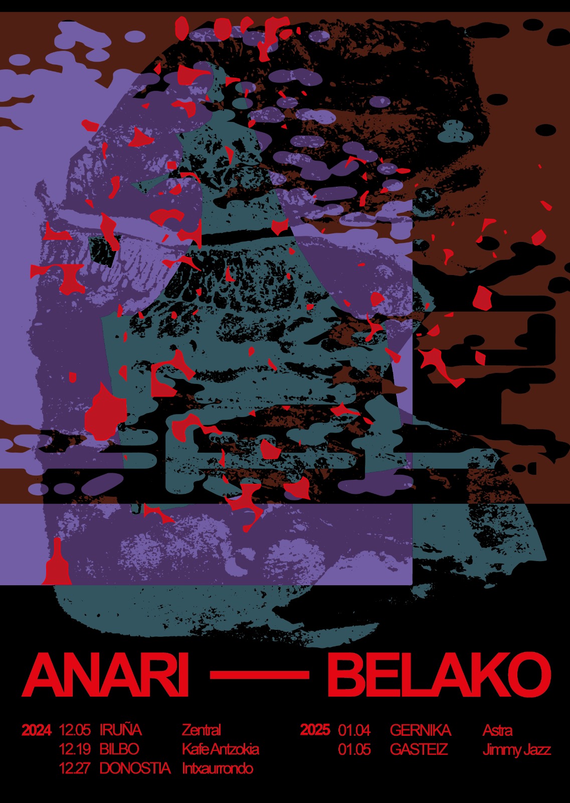 Fotografía promocional de ANARI eta BELAKO Iruñean