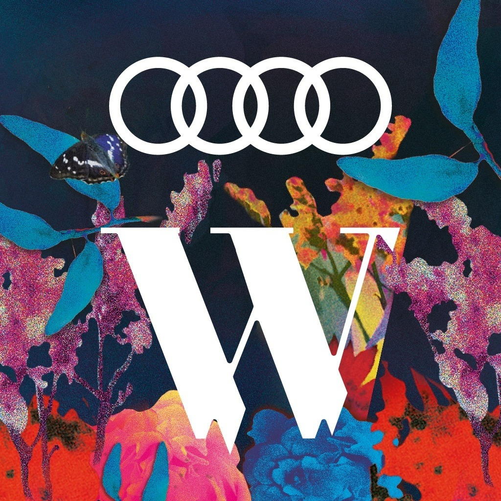 Photographie promotionnelle de Audi Presents Wilderness 2025.