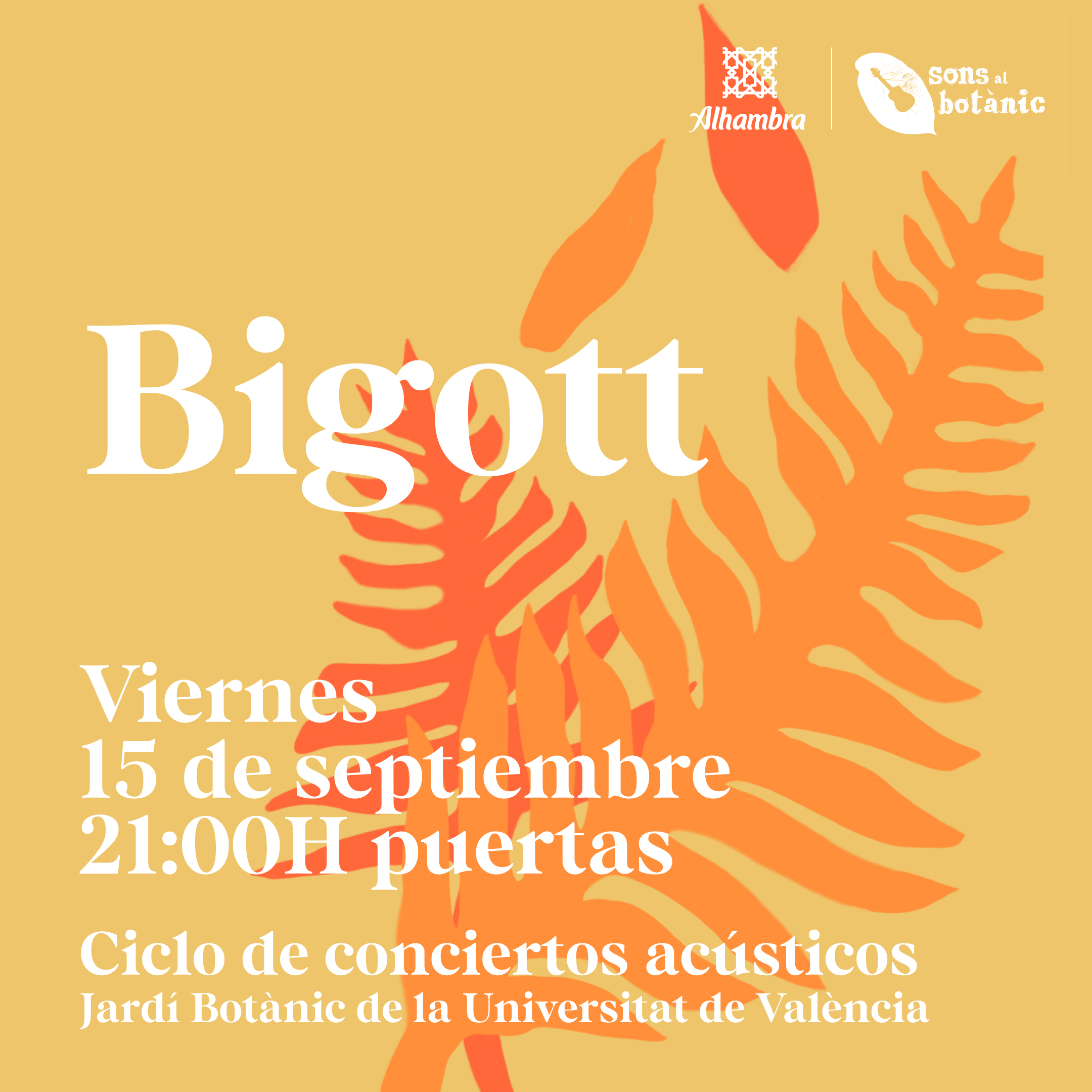 Fotografía promocional de Bigott en Sons al Botànic