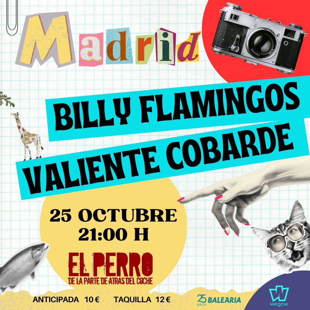 Fotografía promocional de Billy Flamingos + Valiente Cobarde en Madrid