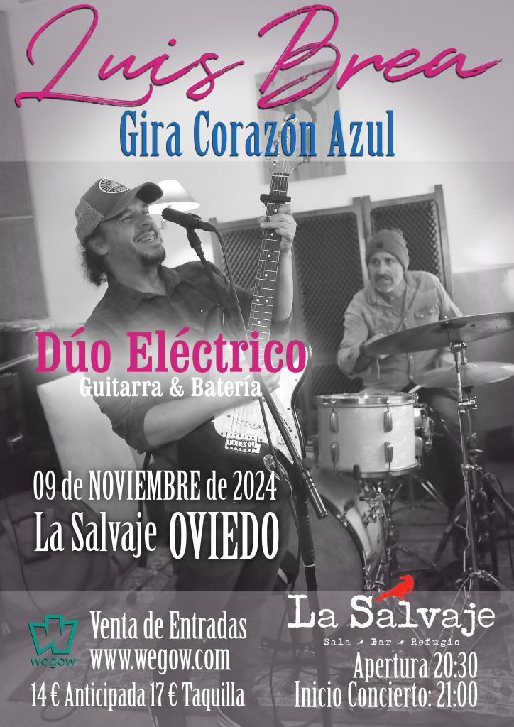 Fotografía promocional de Cocierto de Luis Brea en Oviedo Dúo Eléctrico 9 de noviembre 2024