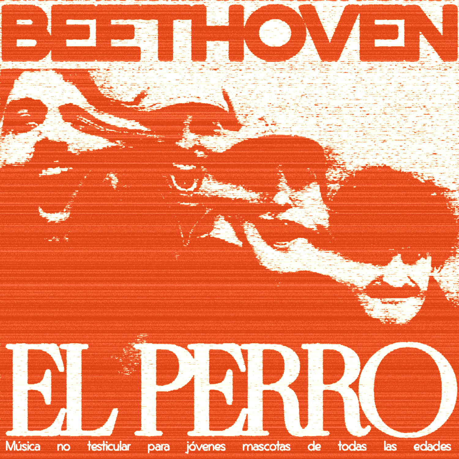Fotografía promocional de CONCIERTO BEETHOVEN EL PERRO (ESTRENO) + AVANTI GUARACHA DJ