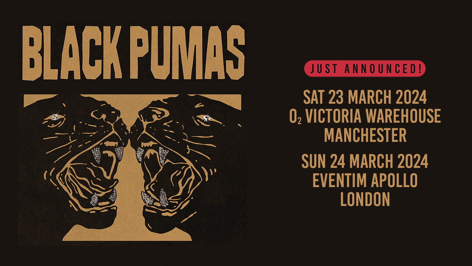 Fotografía promocional de Concierto de Black Pumas en Londres